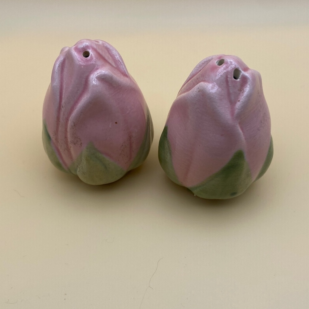 Vintage Franciscan Desert Rose Salt & Pepper